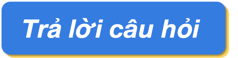 vn.png